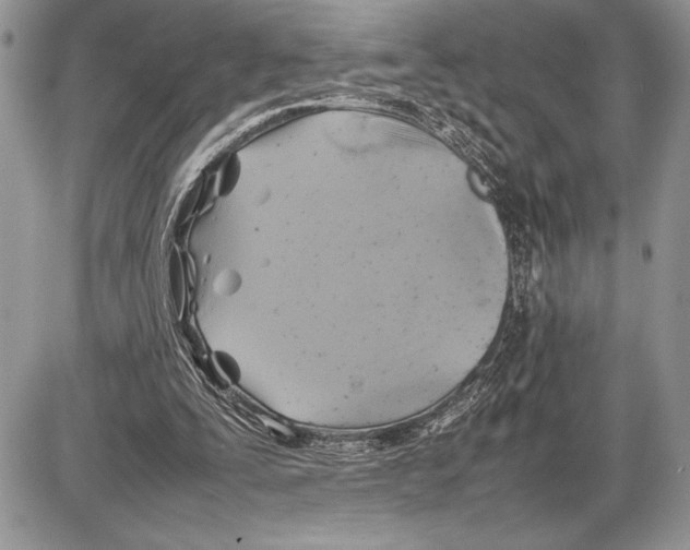 X0000085730295200704131626