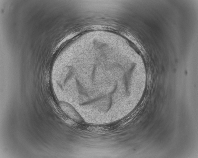 X0000085730297200704131626