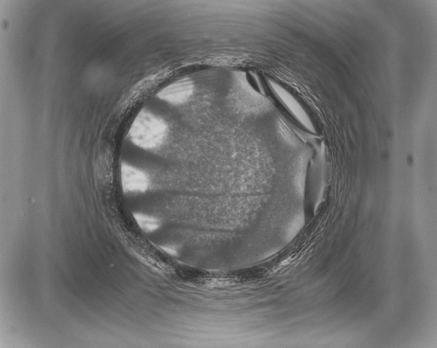 X0000085730303200704131626