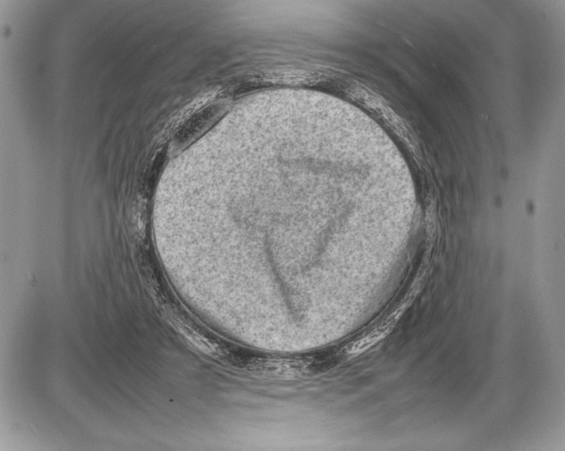 X0000085730305200704131626