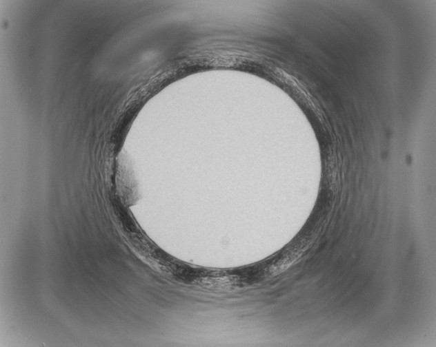 X0000085730307200704131626