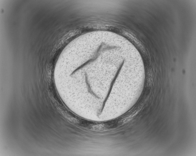 X0000085730309200704131626