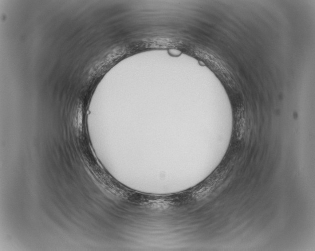 X0000085730310200704131626