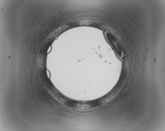 X0000085730311200704131626