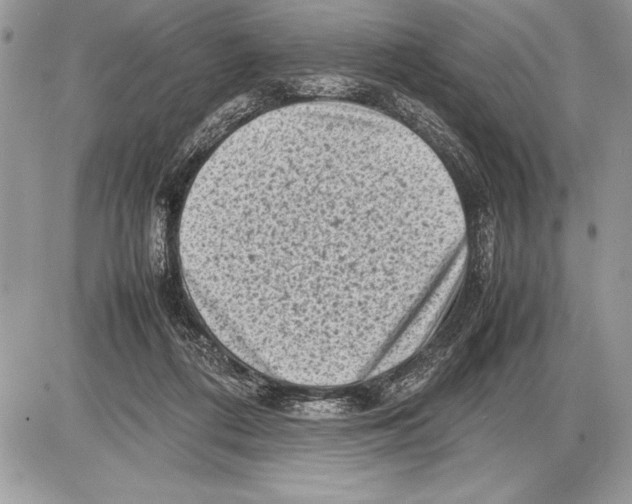 X0000085730312200704131626