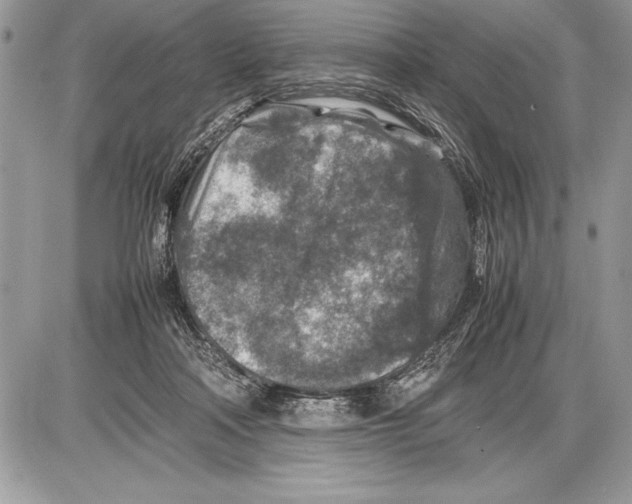 X0000085730314200704131626