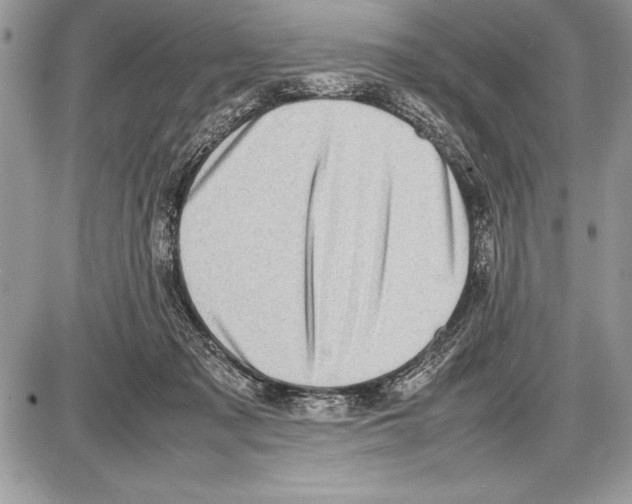 X0000085730317200704131626