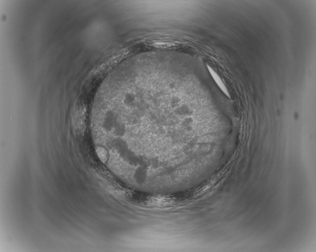 X0000085730319200704131626