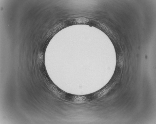 X0000085730321200704131626