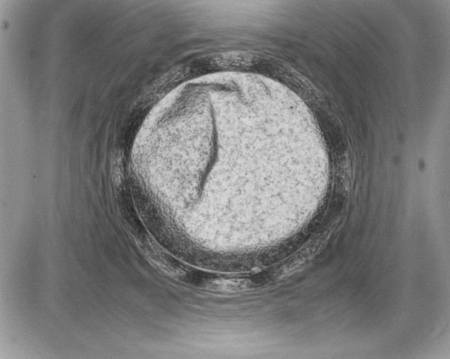 X0000085730323200704131626