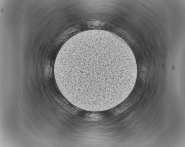 X0000085730324200704131626