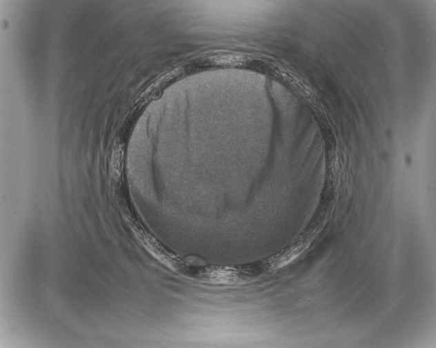 X0000085730325200704131626