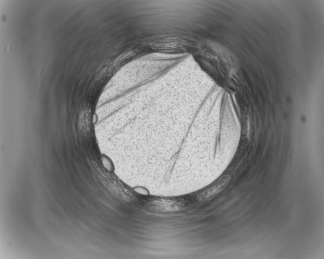 X0000085730326200704131626