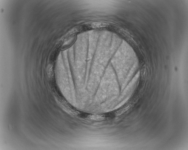 X0000085730327200704131626