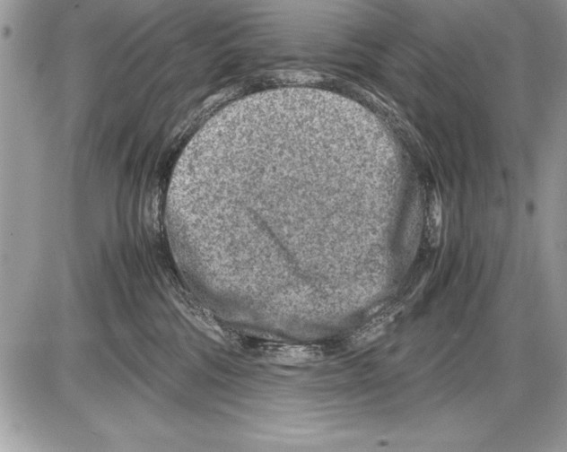 X0000085730330200704131625