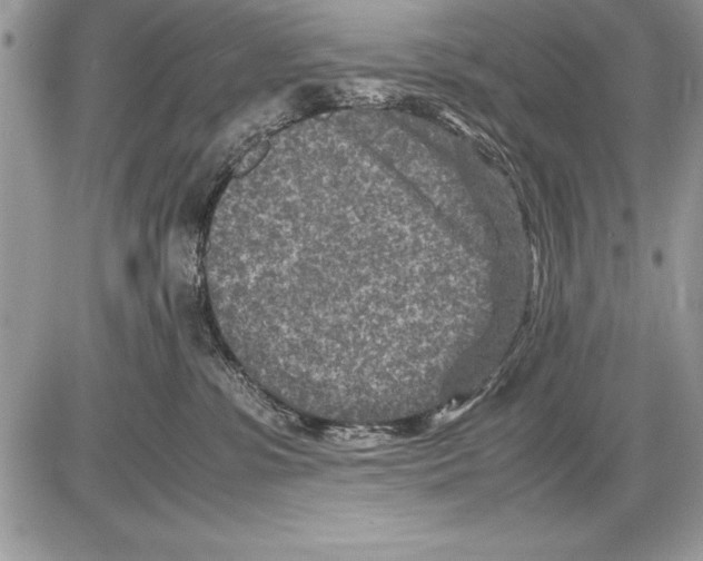 X0000085730331200704131625