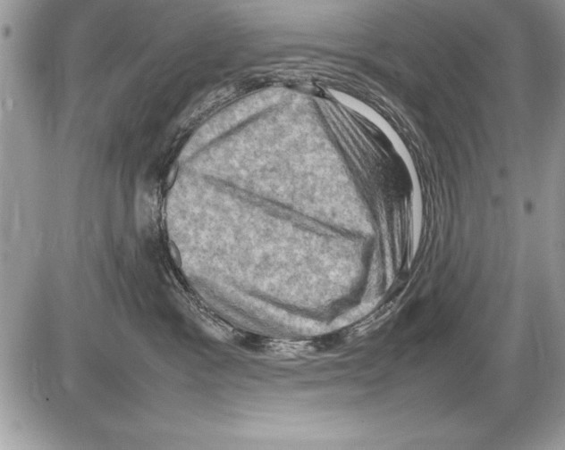 X0000085730333200704131625