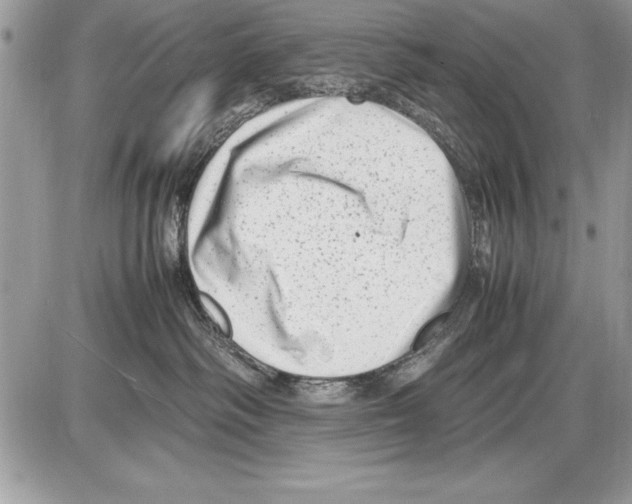 X0000085730334200704131625