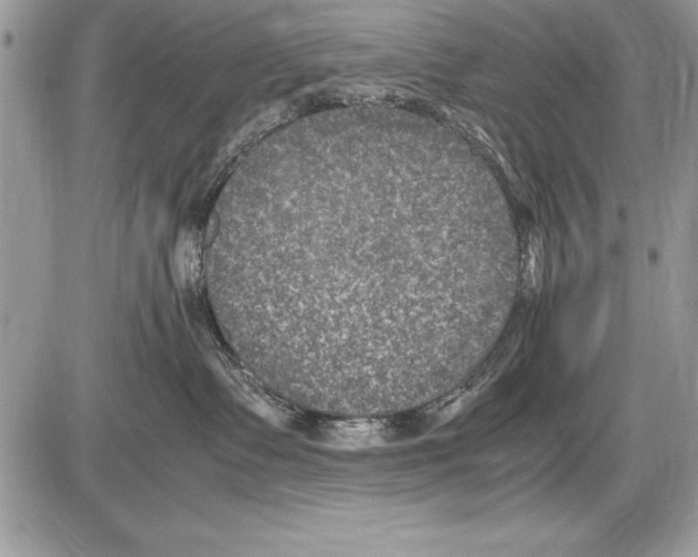 X0000085730335200704131625