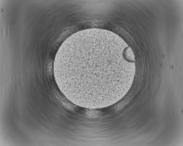 X0000085730336200704131625