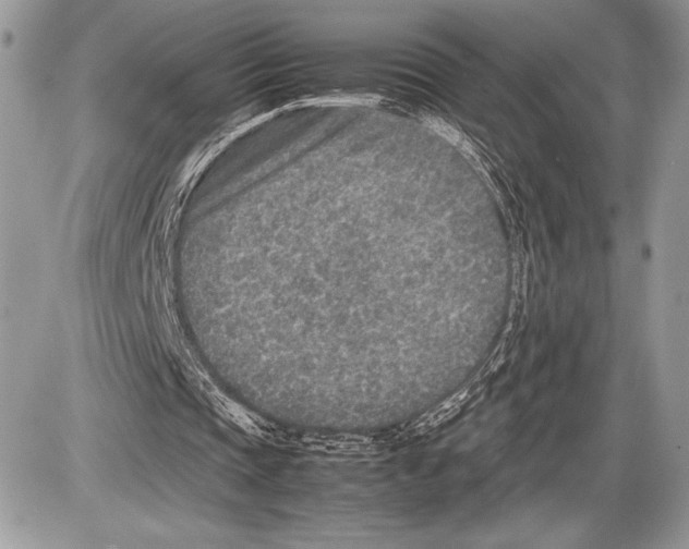 X0000085730337200704131625