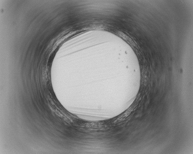 X0000085730338200704131625