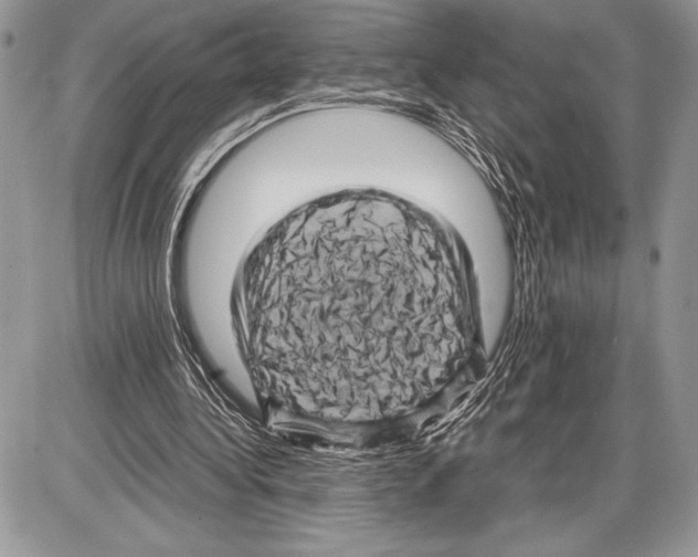 X0000085730340200704131625