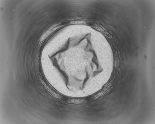 X0000085730341200704131625