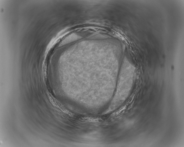 X0000085730343200704131625