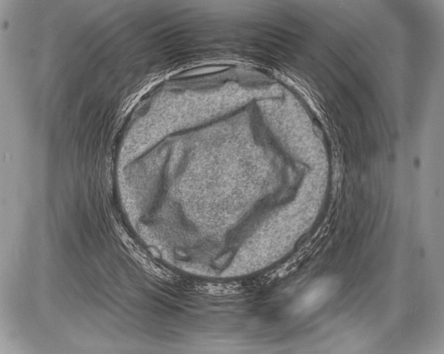 X0000085730345200704131625