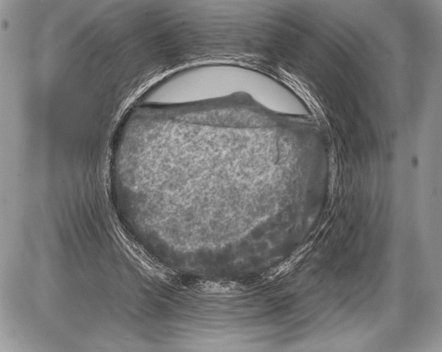 X0000085730346200704131625