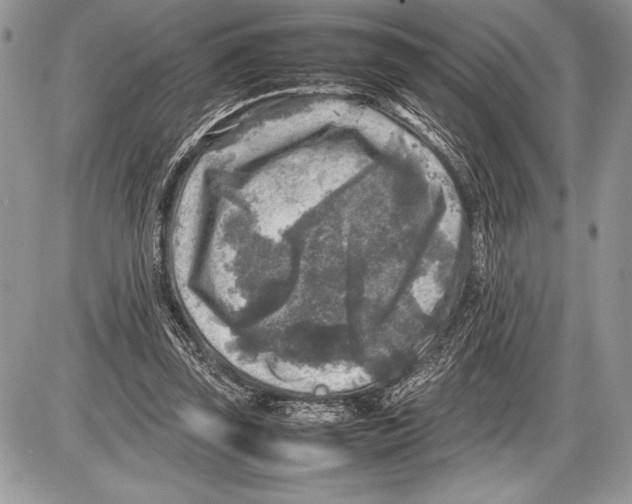 X0000085730347200704131625