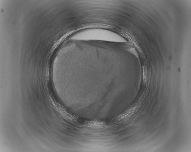 X0000085730348200704131625