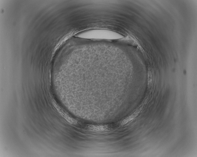 X0000085730349200704131625