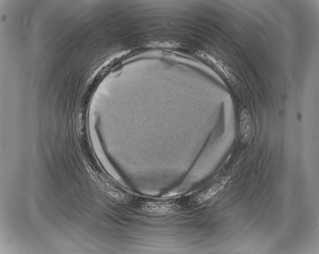 X0000085730351200704131625