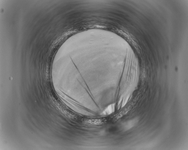 X0000085730353200704131625