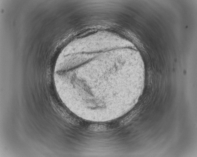 X0000085730354200704131625