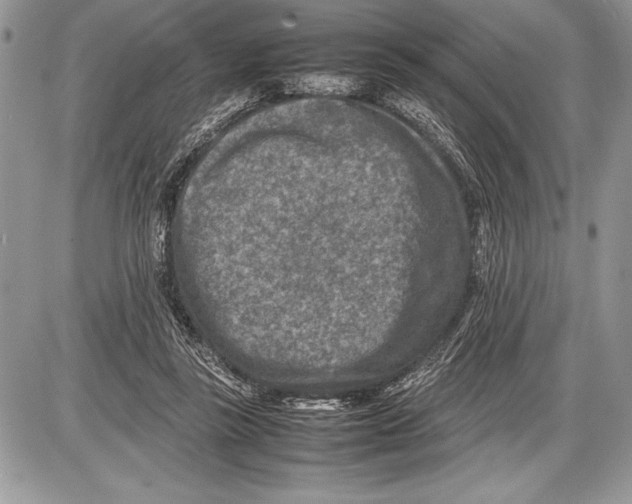 X0000085730355200704131625