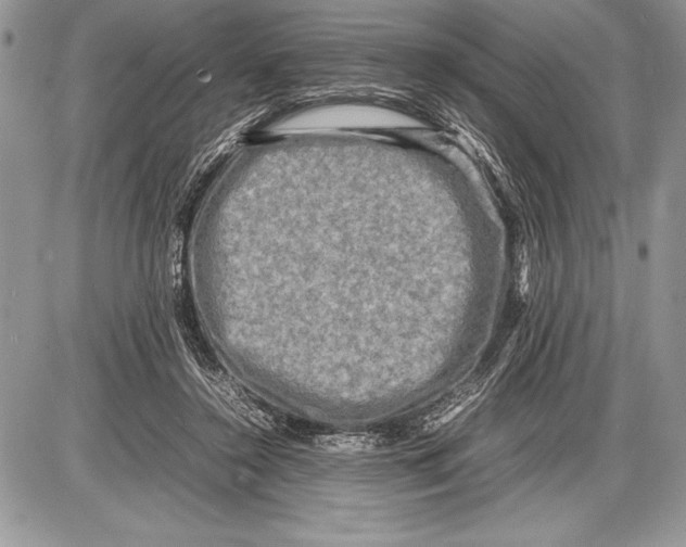 X0000085730356200704131625