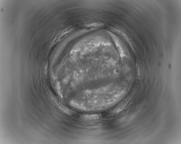 X0000085730357200704131625