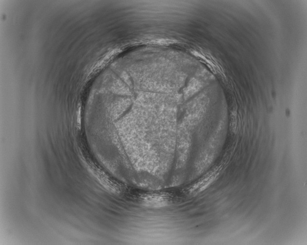 X0000085730358200704131625