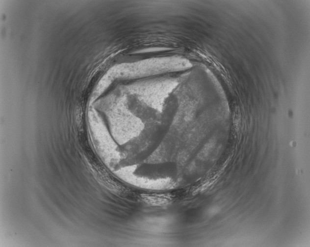 X0000085730359200704131625