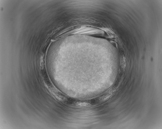 X0000085730360200704131625