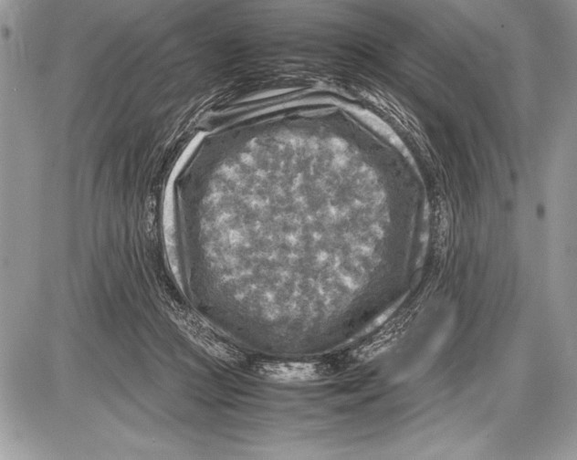 X0000085730361200704131625