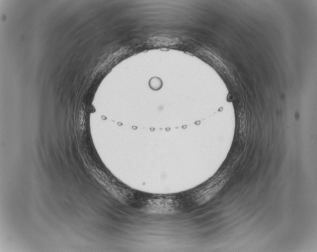 X0000085730362200704131625