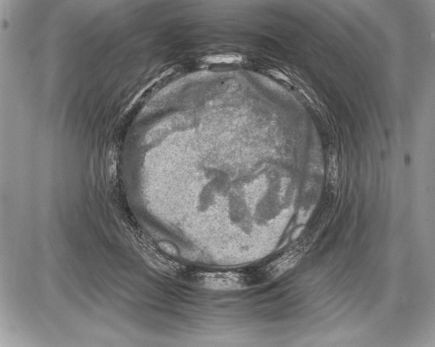 X0000085730363200704131625