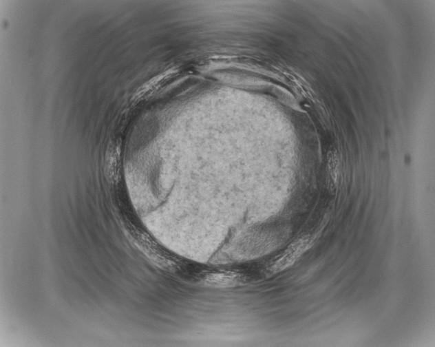 X0000085730364200704131625