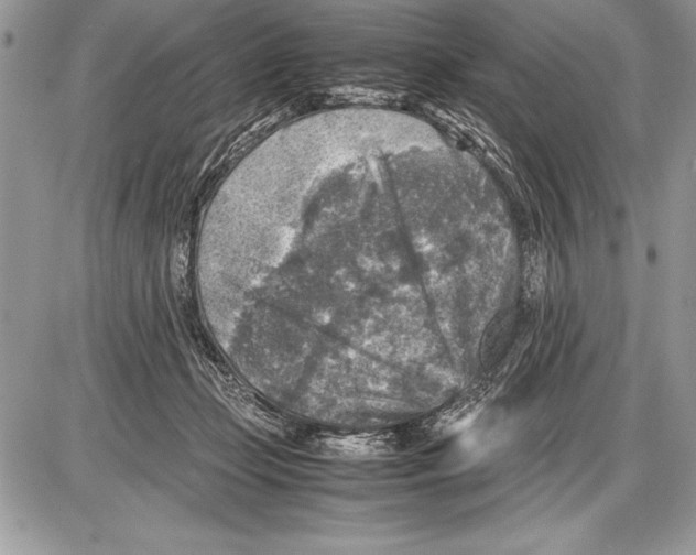 X0000085730365200704131625