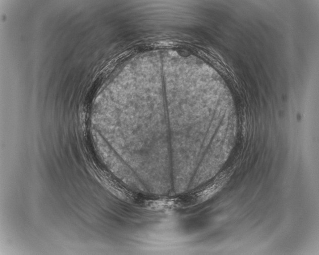 X0000085730366200704131625