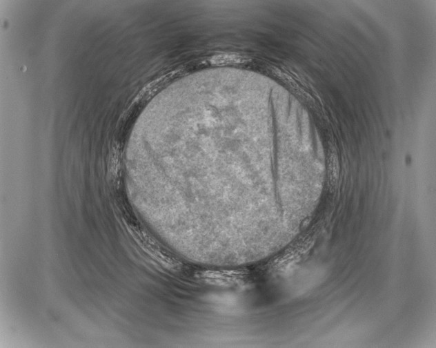 X0000085730367200704131625